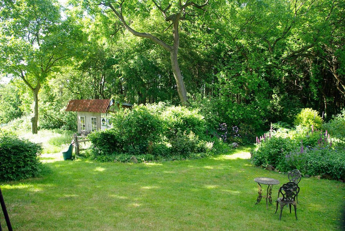Apartamento Alte Schule Osteroden Merzen Exterior foto